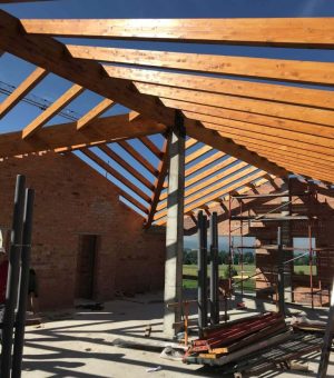 font-xafec-llivia-11-768x1024