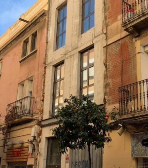 maria-aguilo-barcelona-sat3-1-1